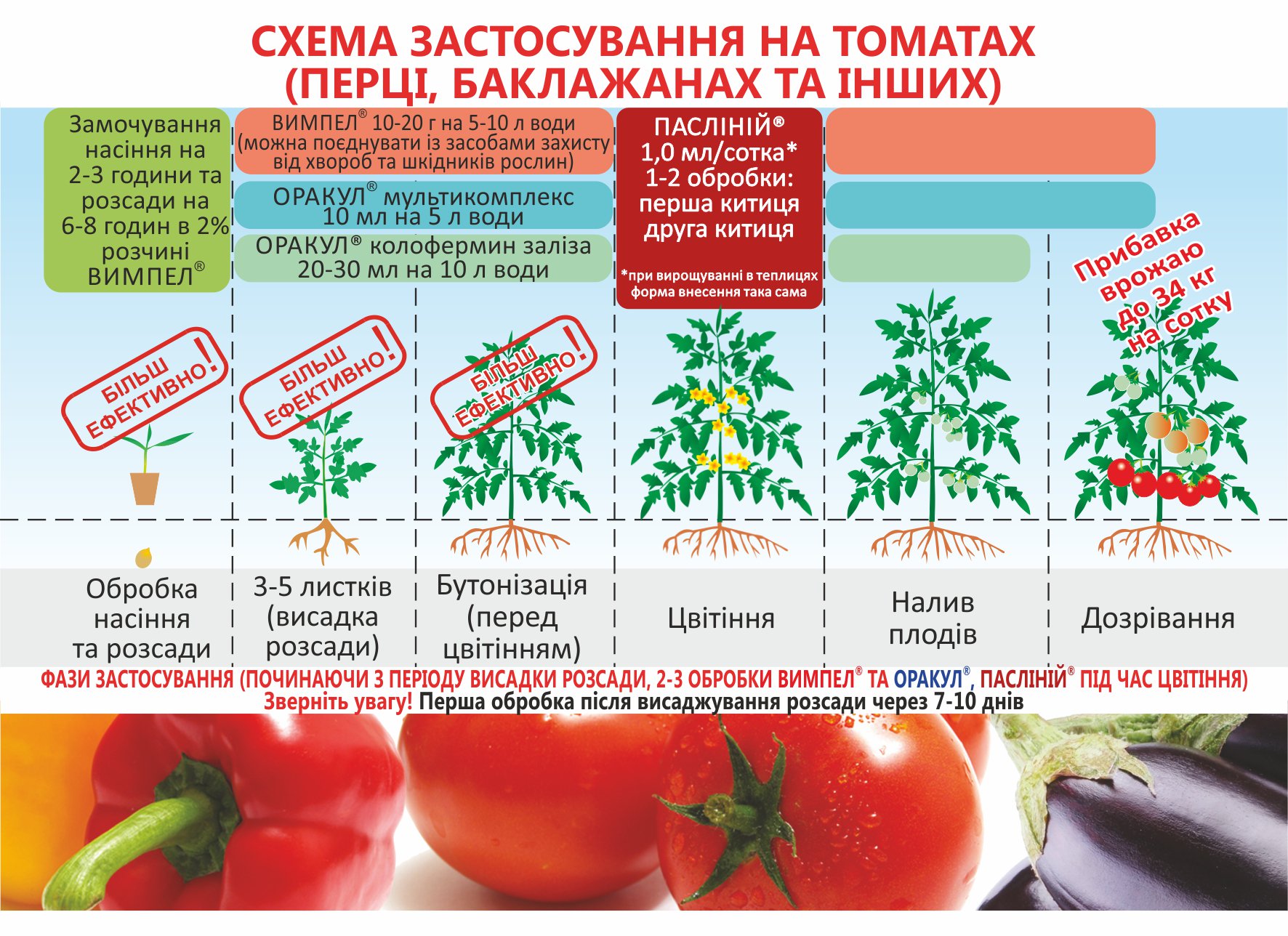Томат коловый: характеристики и описание сорта, урожайность, кубанский, отзывы, фото