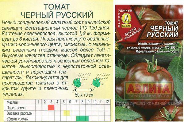 Всё о томате Черный русский с фото Отзывы тех, кто сажал Среднеспелый, индетерминантный, высокорослый сорт томата Заказать семена томата Черный русский почтой