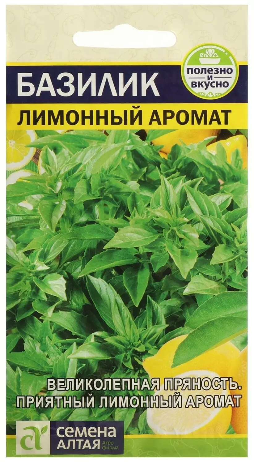 Ароматный базилик — самые лучшие сорта фиолетового и иного цвета. какой вид выбрать для выращивания?
