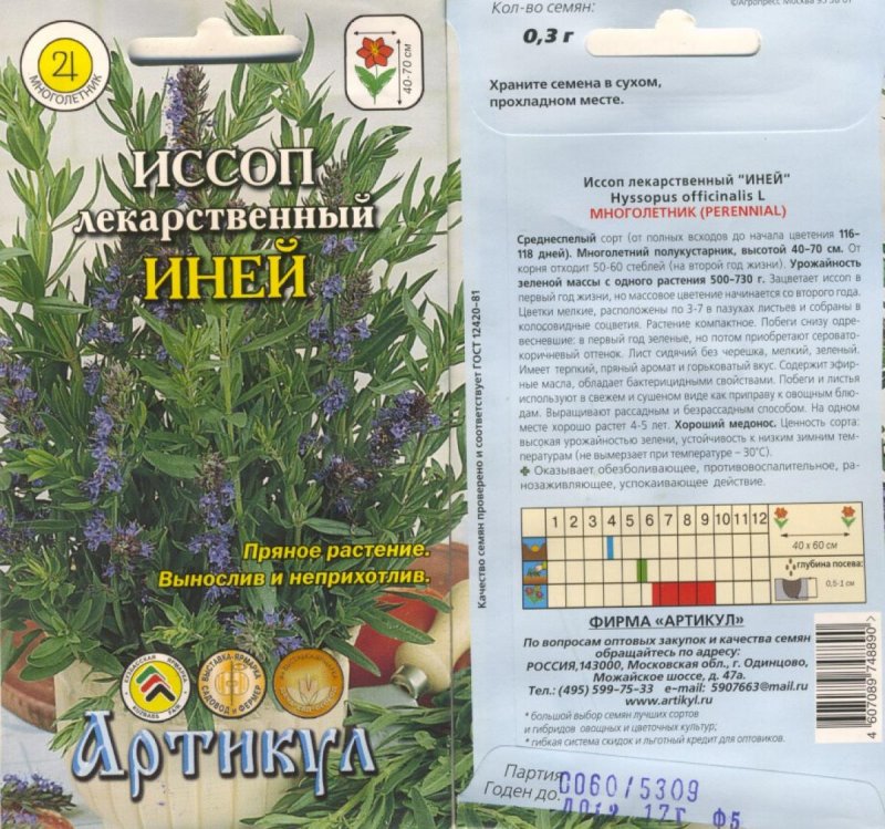 Иссоп лекарственный
