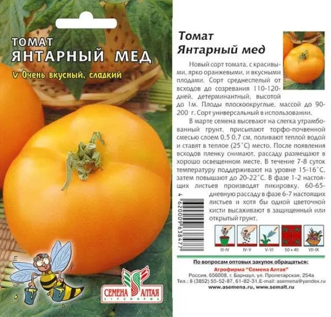 Томат янтарный 530: описание и характеристика гибридного сорта с фото