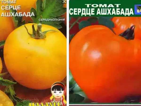 Томат сердце ашхабада: описание и характеристика сорта, фото помидоров и отзывы об урожайности