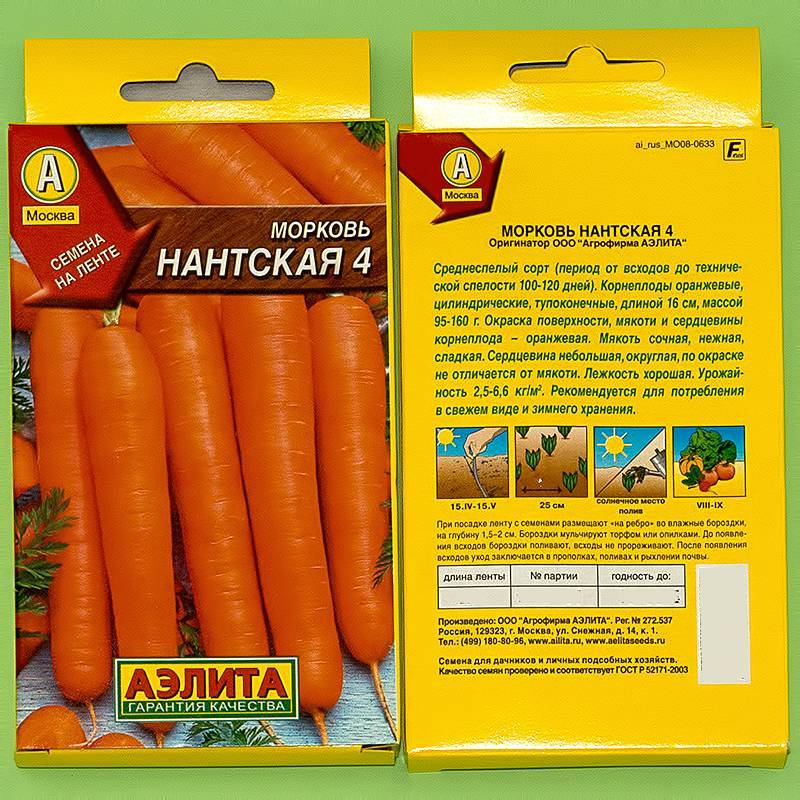 Морковь нантская: описание сорта, отзывы, фото