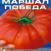 Томат маршал победа: характеристики, достоинства, описание агротехники, отзывы