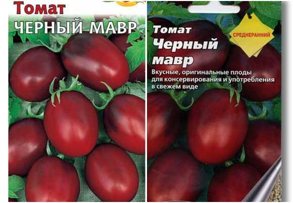 Томат "мавр черный": характеристика и описание сорта помидор, другое название томата "мавр", особенности ухода, фото и достоинства