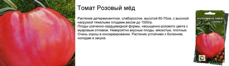 Томат розовый мед - описание сорта, фото, отзывы