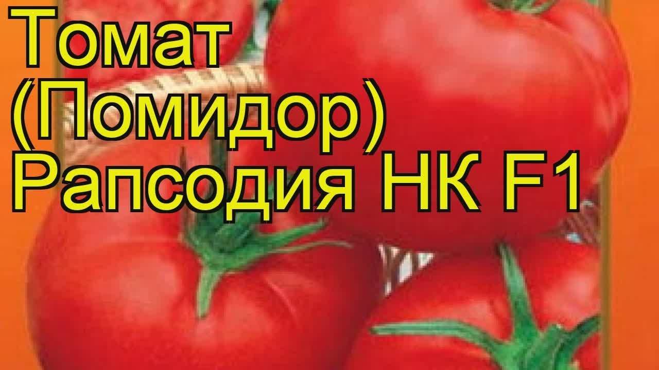 Томаты увертюра русский огород