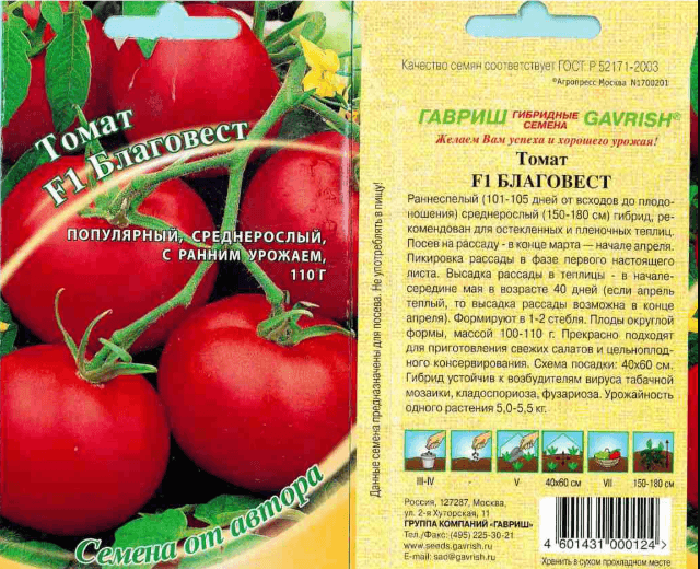 Ароматные и неприхотливые — 6 новых гибридов томатов