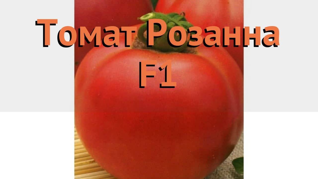Томаты розанна f1: отзывы об урожайности, характеристика и описание сорта, фото помидоров