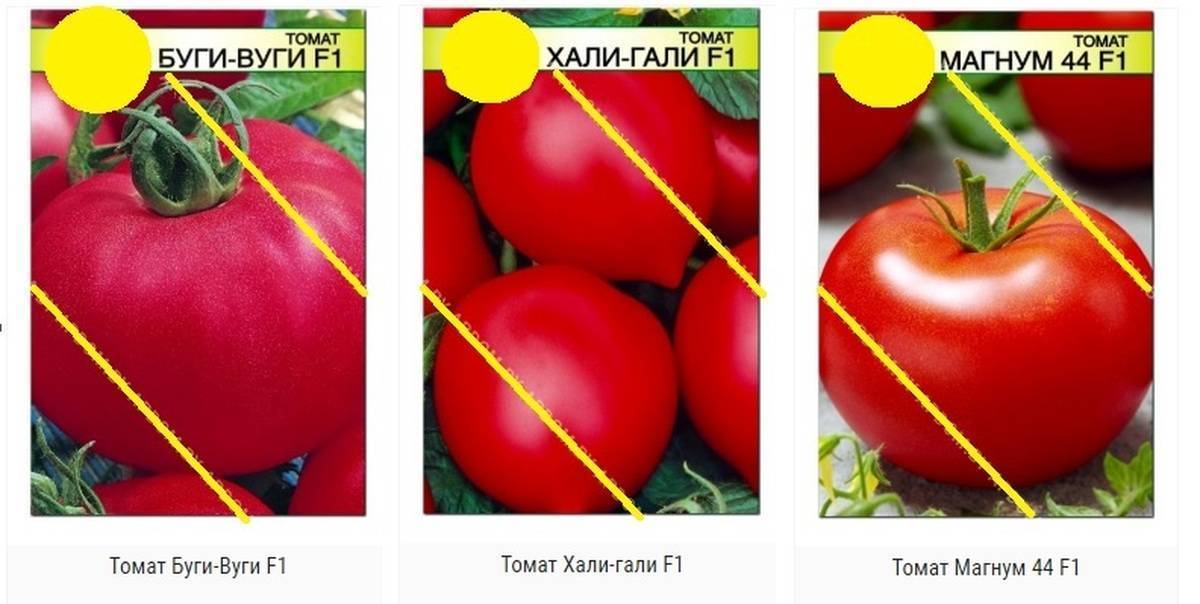 Томат хали-гали: отзывы, описание и характеристика сорта, фото, урожайность