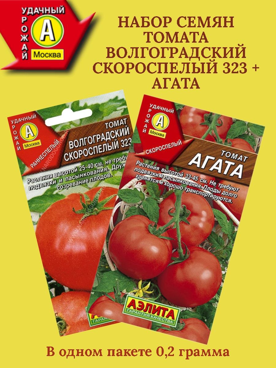 15 высокорослых томатов для теплиц - высокоурожайные лучшие сорта для открытого грунта, урожайность с куста