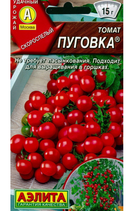 Выращивание сорта томата пуговка, его характеристика и описание