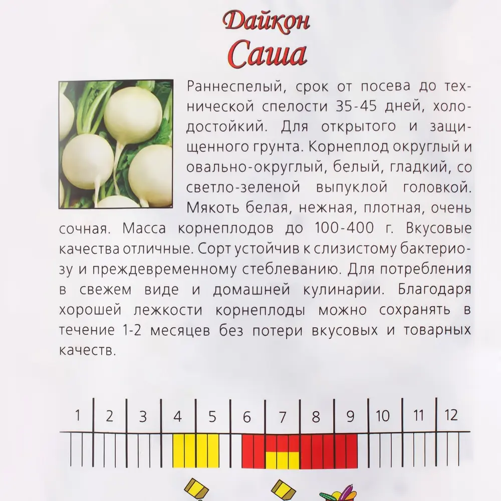 Выращивание дайкона: сроки посадки и уход в открытом грунте