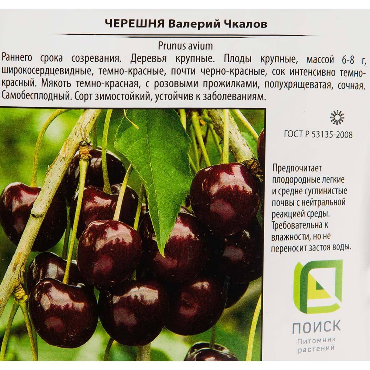 Черешня валерий чкалов: описание, опылители, выращивание, фото