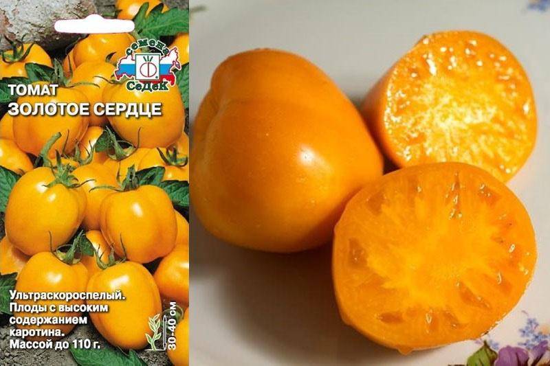 Раннеспелые томаты низкорослые и сладкие для открытого грунта