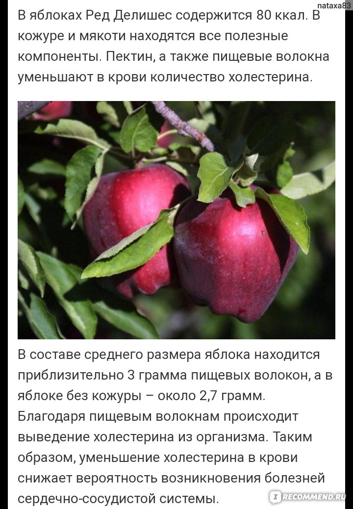 Яблоня ред делишес: описание сорта, фото, отзывы