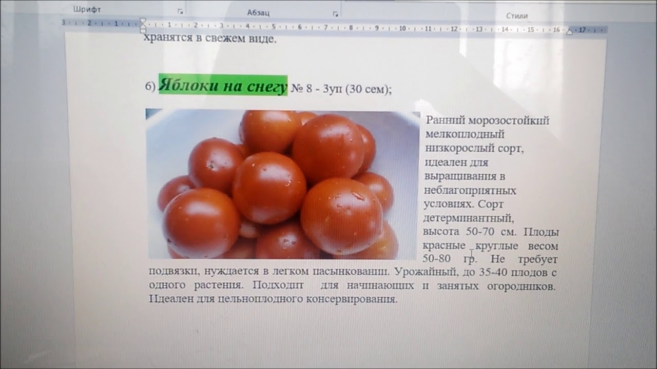 Томаты яблоки на снегу: характеристики и описание сорта. томат яблоки на снегу: отзывы, фото, урожайность, нюансы выращивания