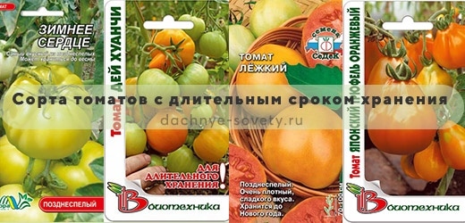 Томат де барао: описание сорта, фото и отзывы