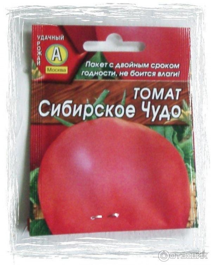 Очередной шедевр из популярной селекции мязиной — томат северное чудо: описание сорта