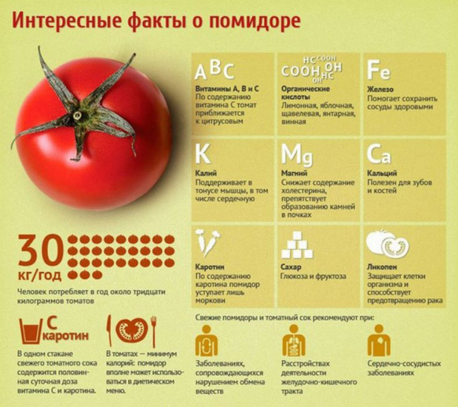 Лучшие и худшие томаты этого сезона —  алёнин сад