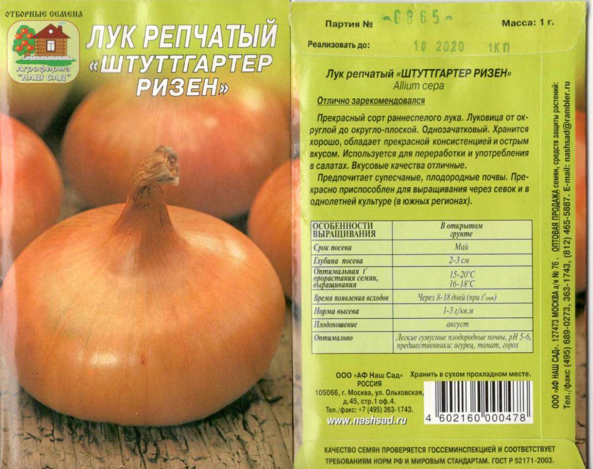 Репчатый лук штутгартер ризен  - описание сорта и фото, выращивание и уход