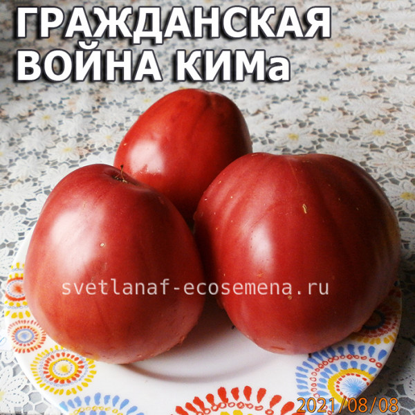 Томат великий воин: описание неприхотливого и урожайного сорта, отзывы о выращивании