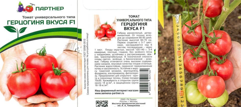 Томат герцогиня вкуса f1: отзывы, фото, урожайность, описание и характеристика | tomatland.ru