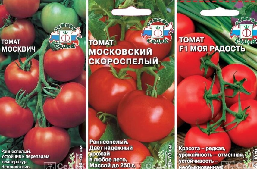 Какие индетерминантные сорта помидор самые урожайные для теплиц