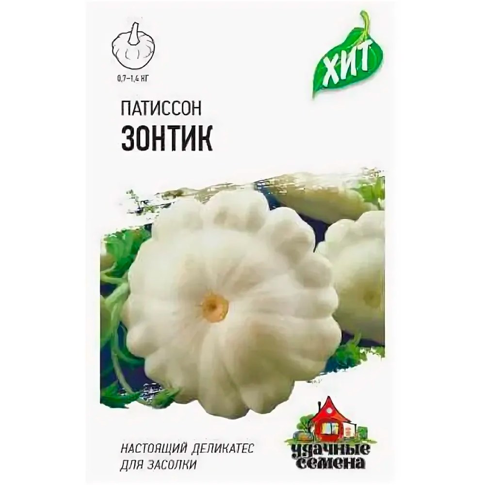 Описание сорта патиссон зонтик