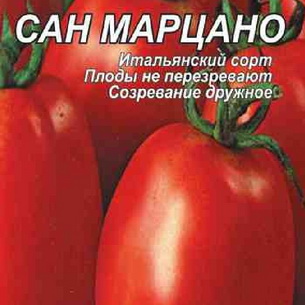 Томат сан-марцано какая урожайность с куста?