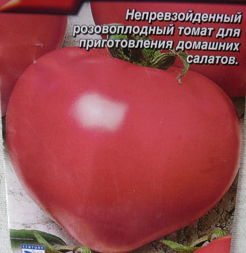 Помидоры настенька: описание сорта, фото, отзывы