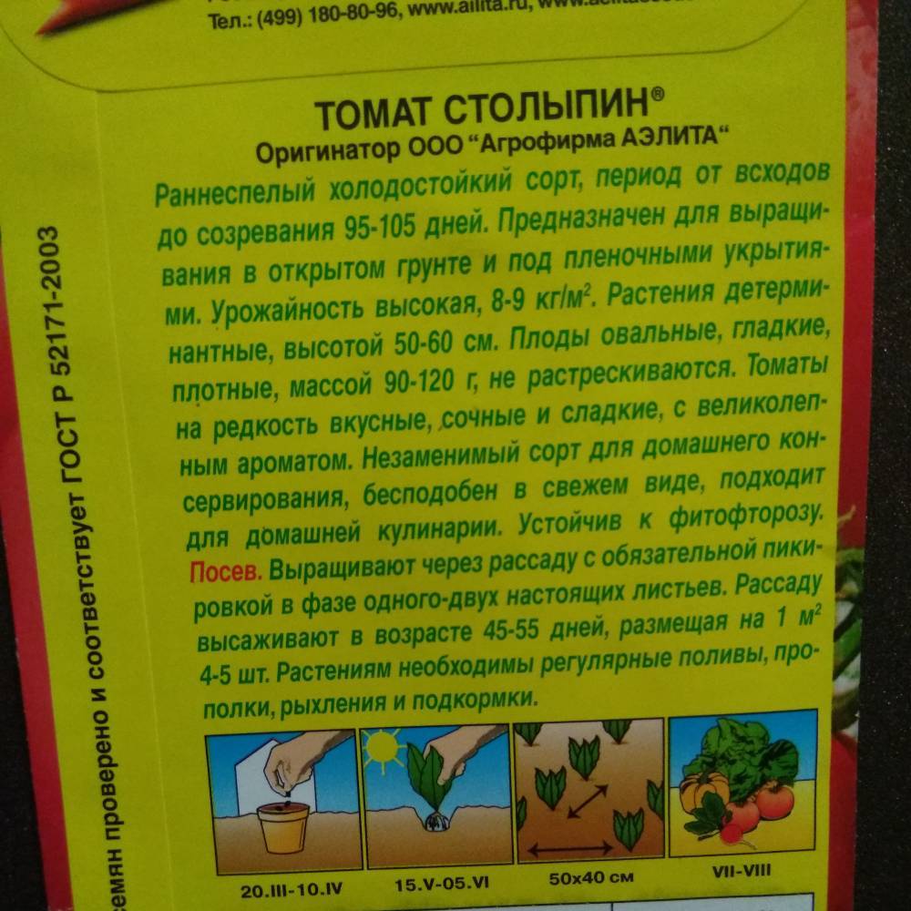 Томат столыпин: характеристика и описание сорта, урожайность с фото
