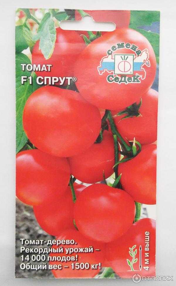 Помидоры "спрут": отзывы, фото, кто сажал, характеристика и описание сорта