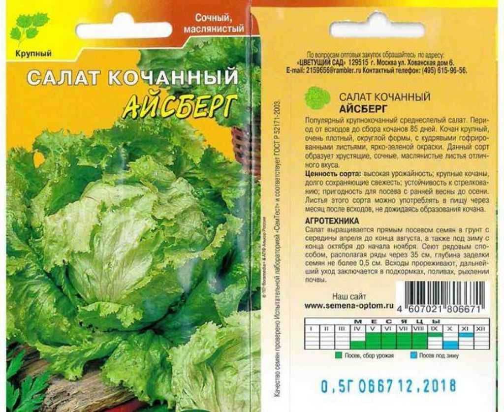 7 видов салата для вашего сада. лучшие сорта. посев, выращивание и уход. описание, фото — страница 8 из 8 — ботаничка