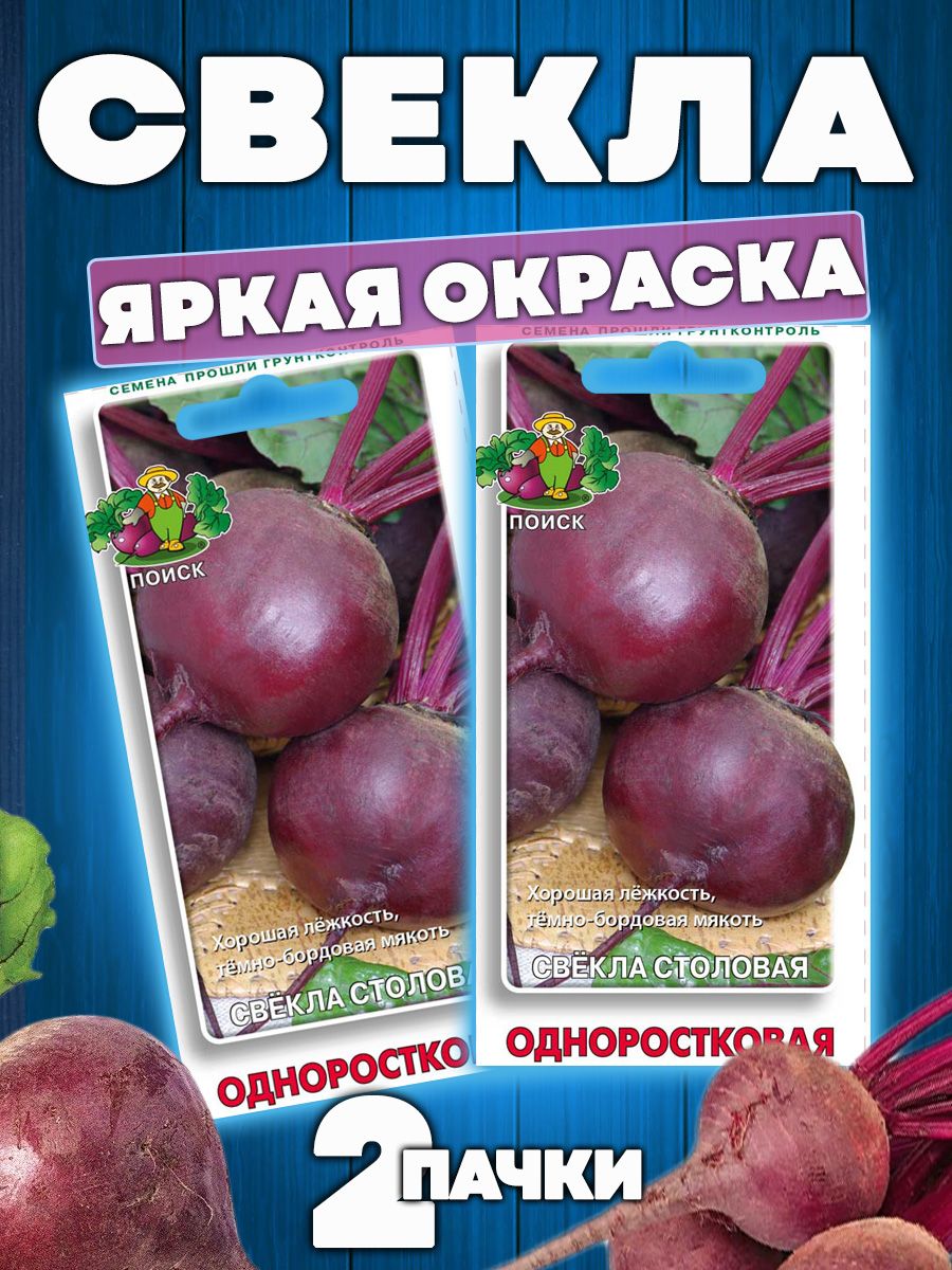 Свекла столовая одноростковая описание сорта | хороший урожай🍎