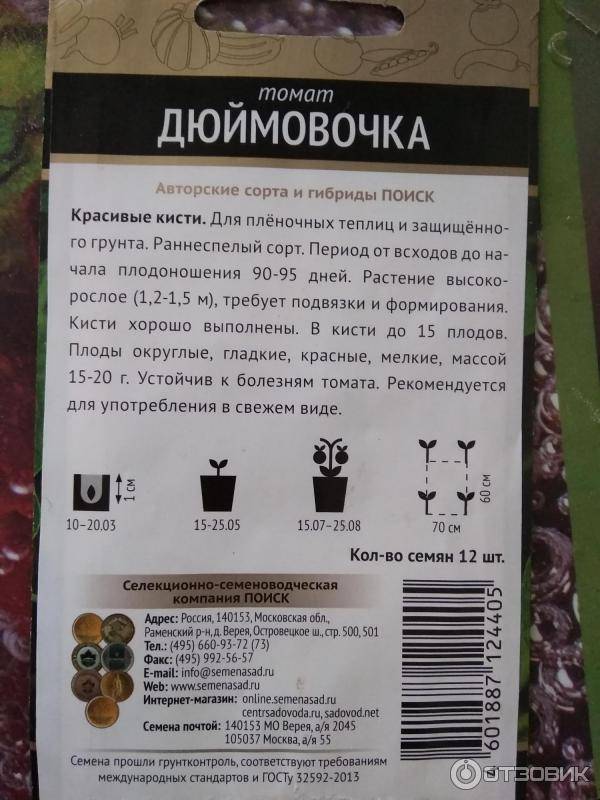 Томат дюймовочка характеристика, описание особенностей выращивания, фото и отзывы