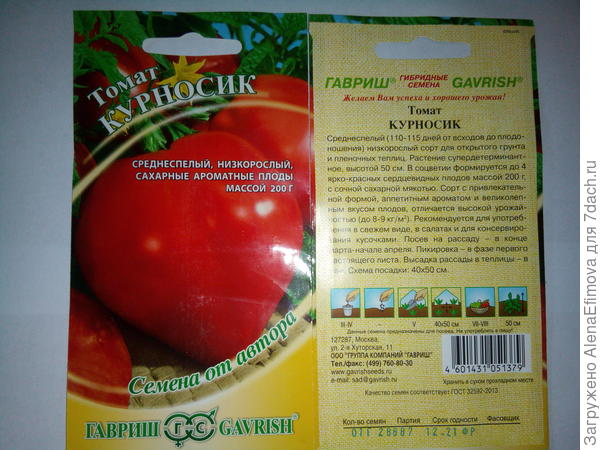 Томат курносик: характеристика и описание сорта с фото