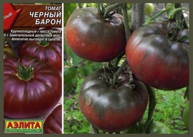 Томат барон : описание сорта, его фото и характеристика русский фермер