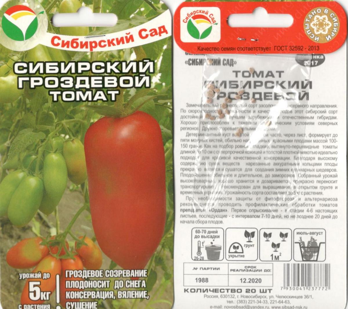 Томат «французский гроздевой»: характеристика и описание сорта