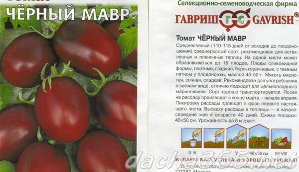 Томат черный мавр: описание и характеристика сорта, отзывы дачников с фото