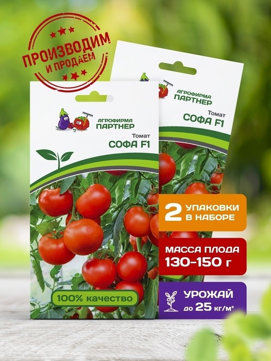 Томат софа: описание и характеристика, отзывы, фото