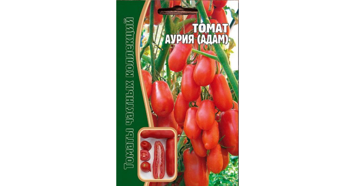 Помидоры жигало описание сорта фото отзывы - обзортека