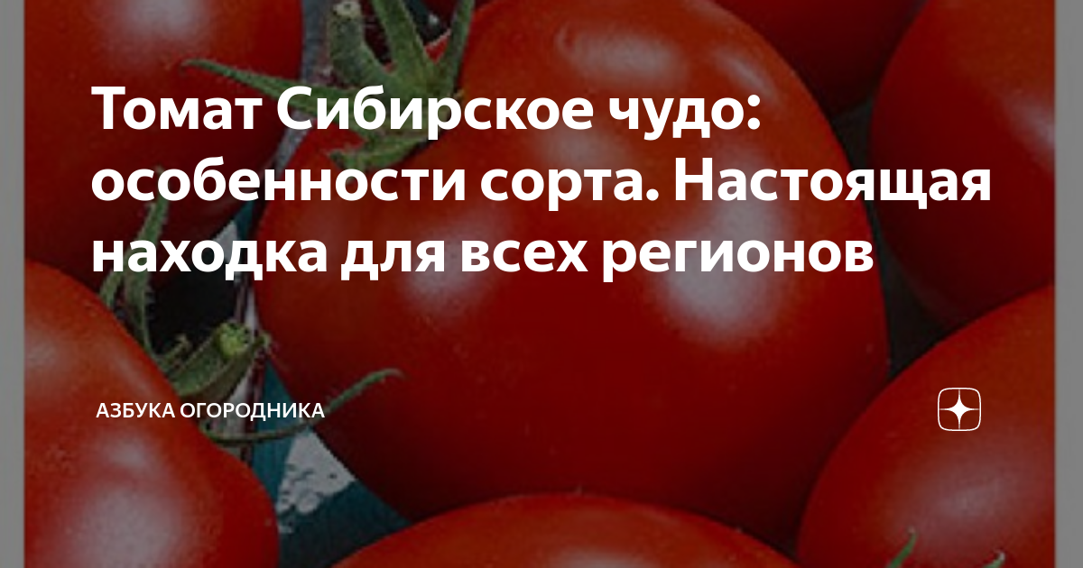 Описание сорта томата бурковский ранний и его характеристика – дачные дела