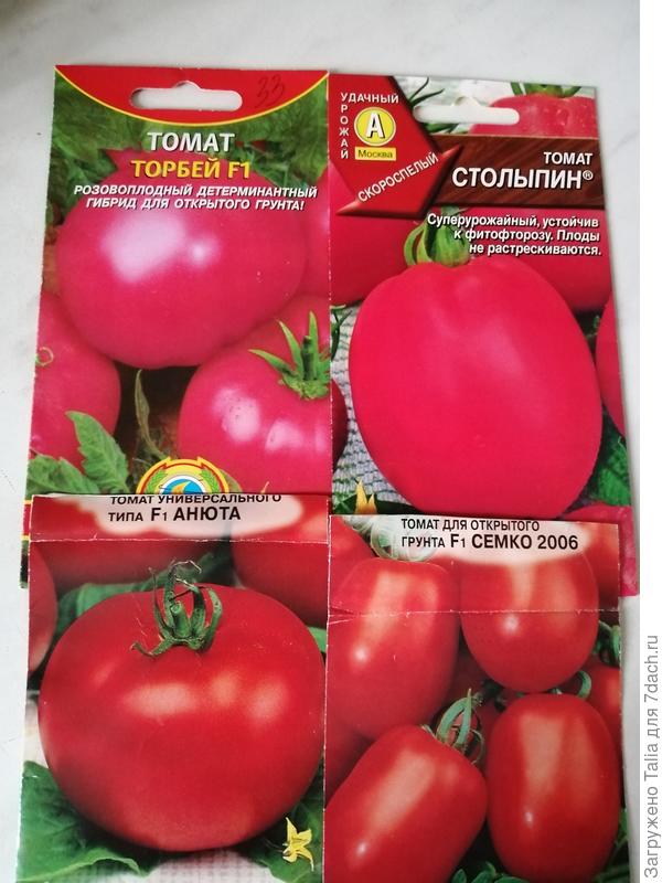 Сорта томатов для открытого грунта для средней полосы: лучшие, урожайные с фото