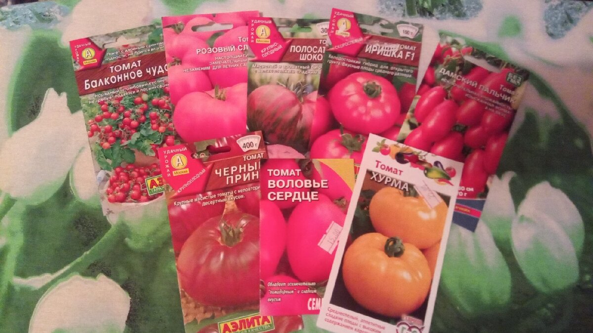 Томат лель: характеристика и описание сорта, урожайность помидора, высота куста, отзывы тех, кто сажал с фото и видео