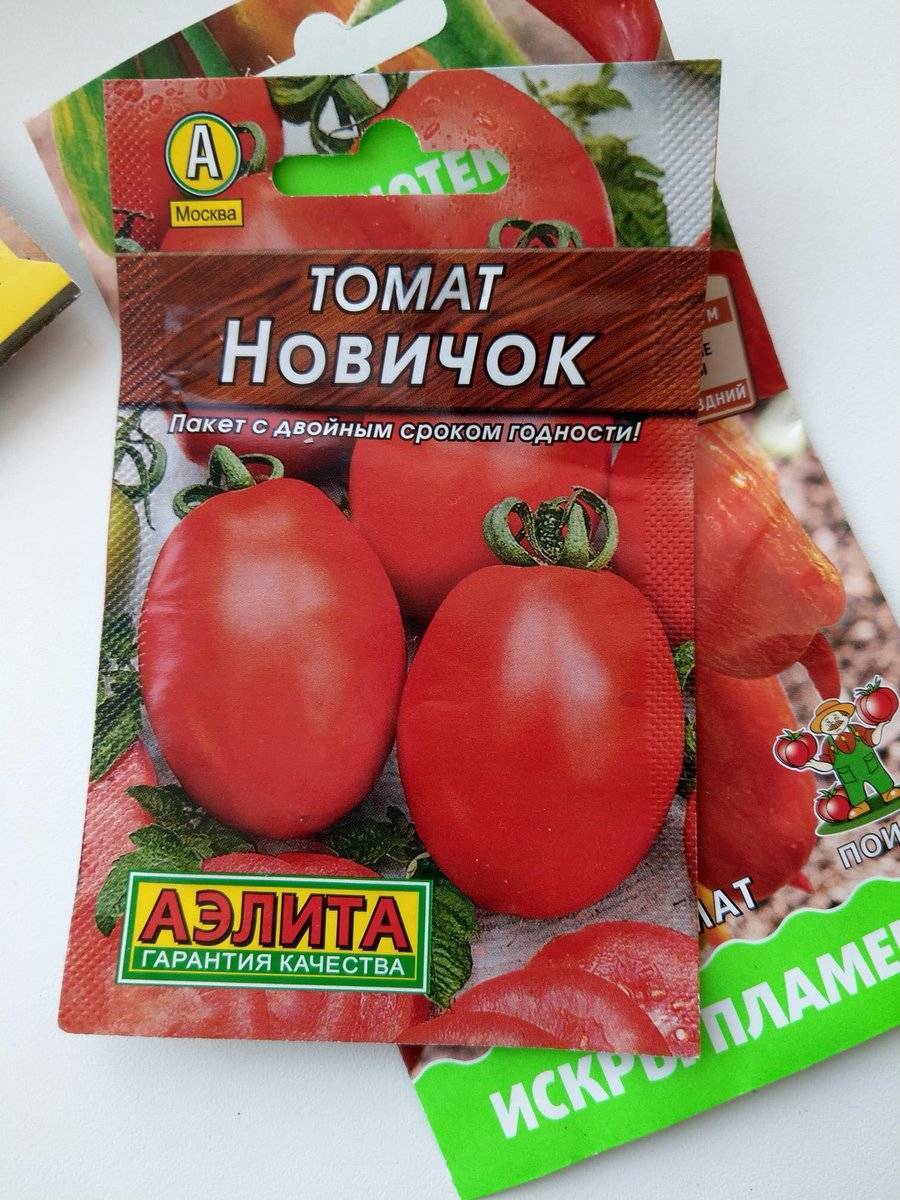 Описание и характеристика сорта томатов «новичок». отзыв и урожайность.