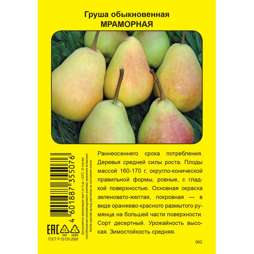 Левен