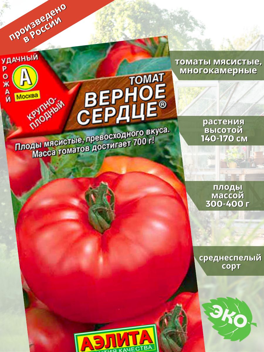 Томат черное сердце бреда: отзывы о помидорах, фото готового урожая, преимущества и недостатки сорта