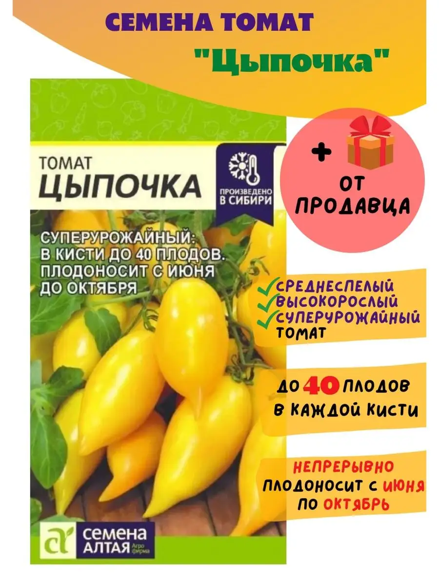 Томат жар птица: описание и характеристики, особенности посадки и выращивания, болезни и вредители, достоинства и недостатки