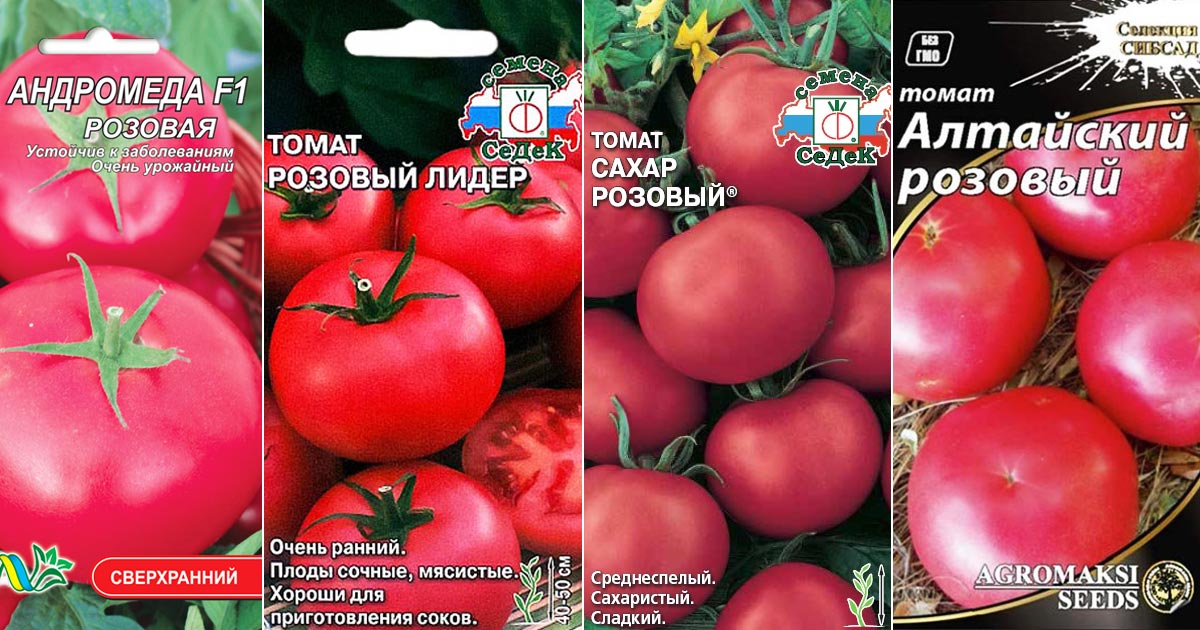 Томат розовый царь: отзывы, фото, урожайность